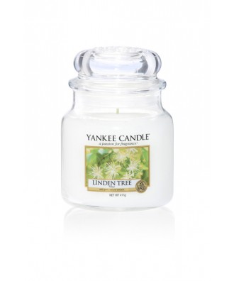 Yankee Candle - Linden Tree - Drzewo Lipy - Świeca Zapachowa Średnia