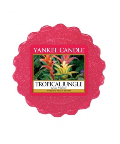 Yankee Candle - Tropical Jungle - Wosk Zapachowy