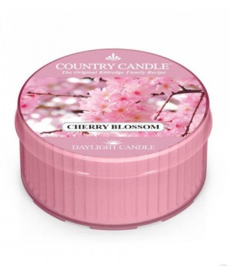 Country Candle - Cherry Blossom - Kwitnąca Wiśnia - Daylight