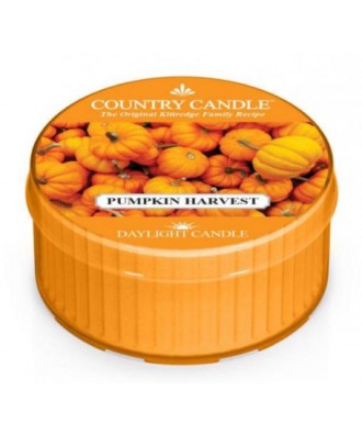 Country Candle - Pumpkin Harvest - Zbiory Dyni - Daylight
