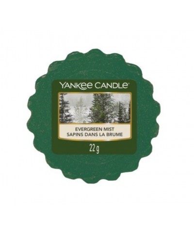 Yankee Candle - Evergreen Mist - Wosk Zapachowy