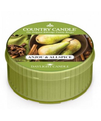 Country Candle - Anjou & Allspice - Daylight