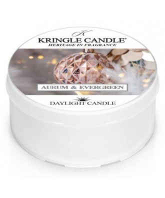 Kringle Candle - Aurum & Evergreen - Daylight