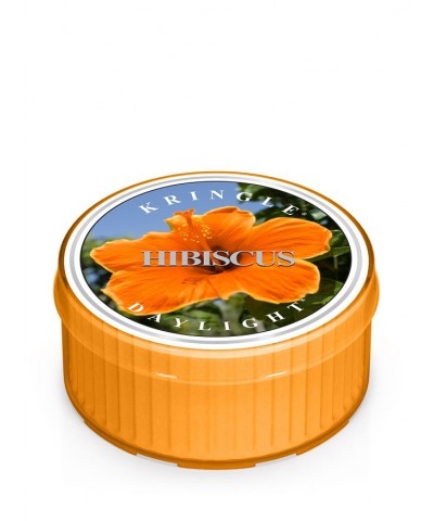 Hibiscus - Hibiskus (Daylight)